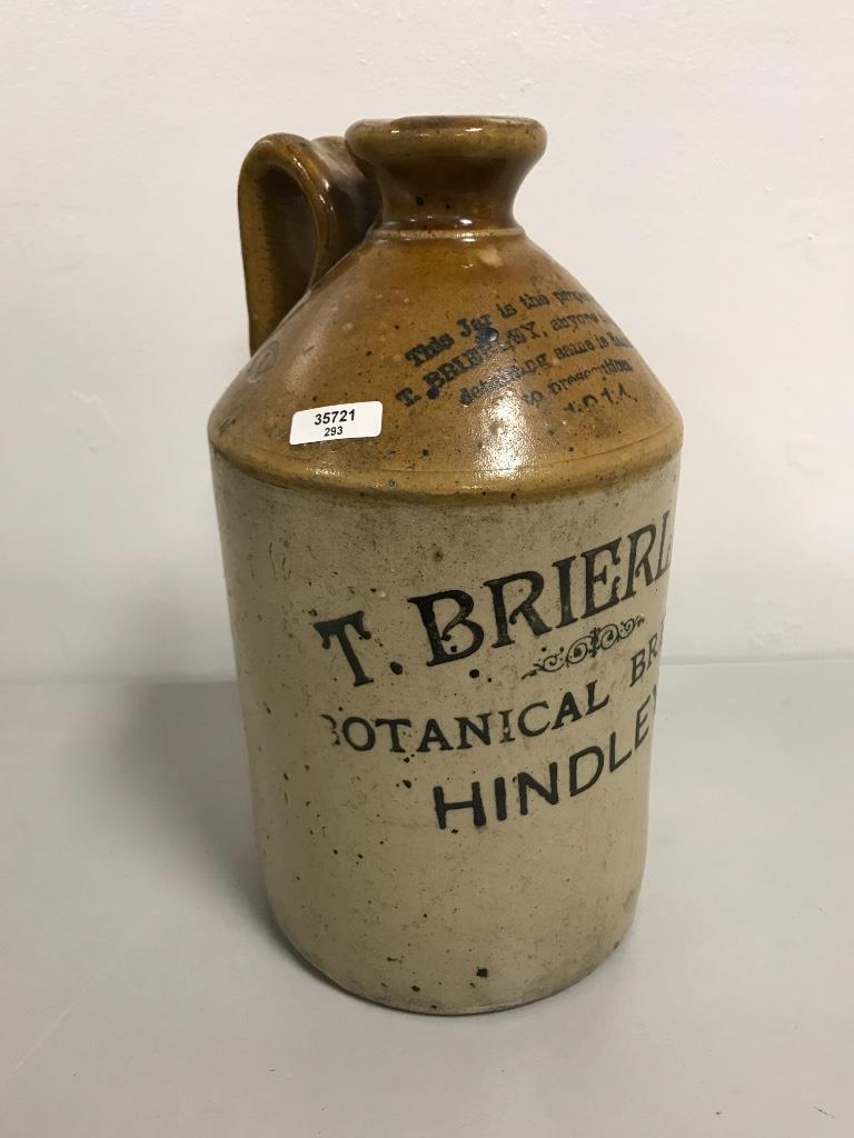 Brown and white stoneware jug, T. Brierley Botanical (1 of 2)