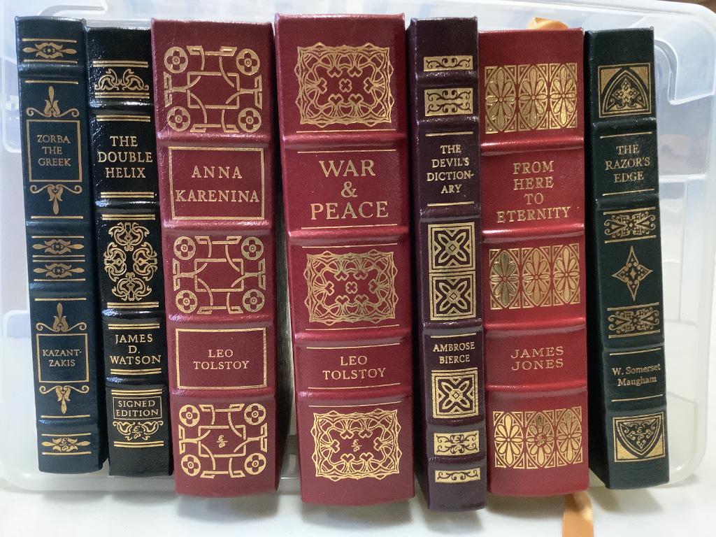 Lot of 7 leather bound novels including “Anna Karenina” (1 of 1)