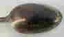 item-117855783=5