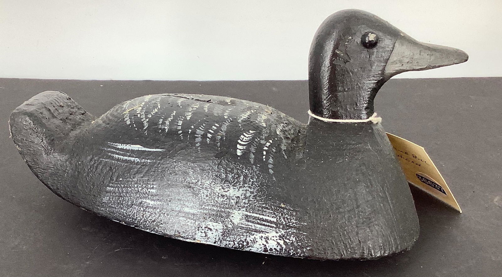 Drake Blue Bill, Michigan. (1 of 1)