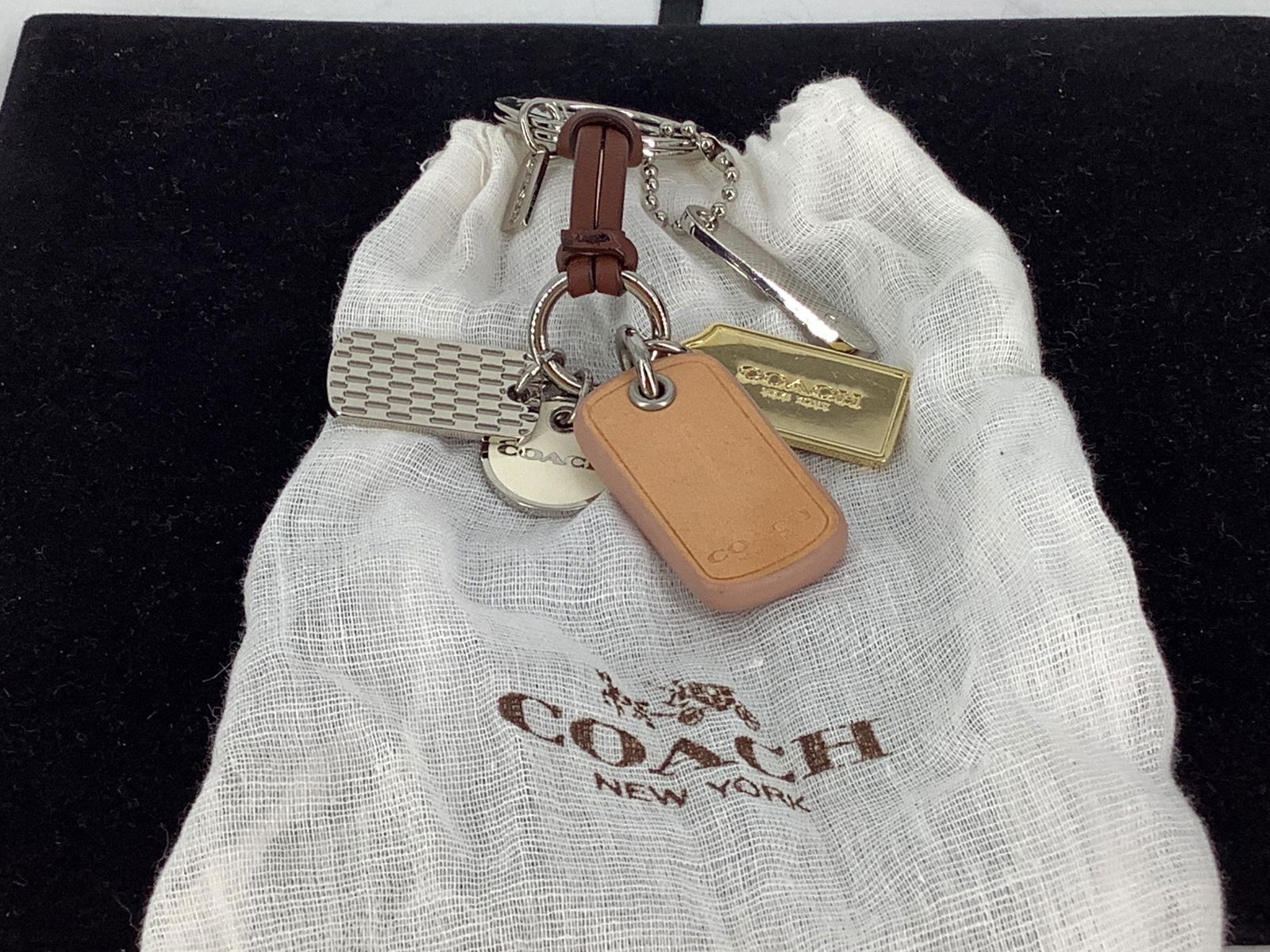 Coach Keychain (1 of 2)