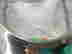 item-121032138=4