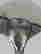 item-121032167=8
