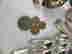 item-121032177=6