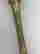 item-121232320=3