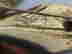 item-121127952=3