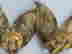 item-121127952=7