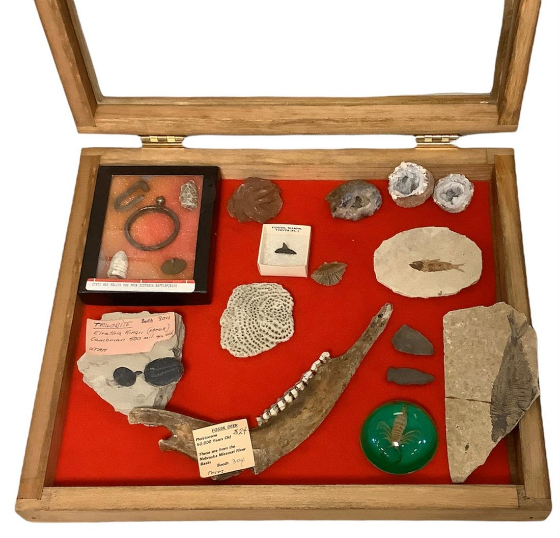 Collection of ancient artifacts, in wood and glass display case, including a trilobite marked (1 of 1)