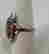 item-129440684=2