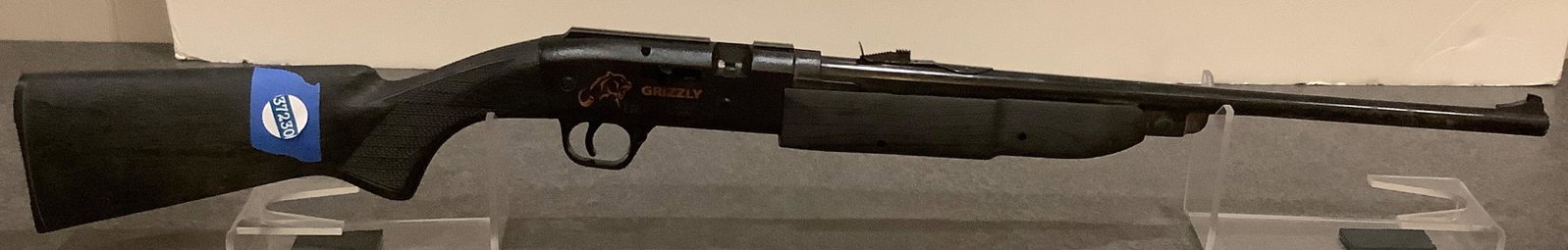 Grizzly BB gun: Grizzly BB gun