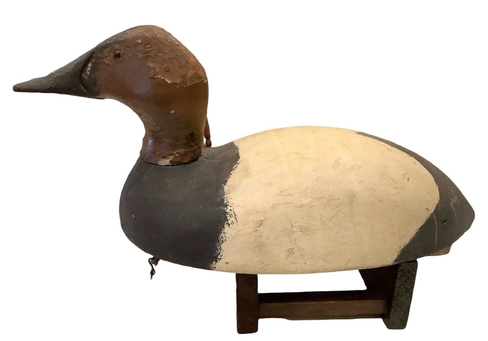 Michigan bobtail drake canvasback duck decoy.: Michigan bobtail drake canvasback duck decoy.