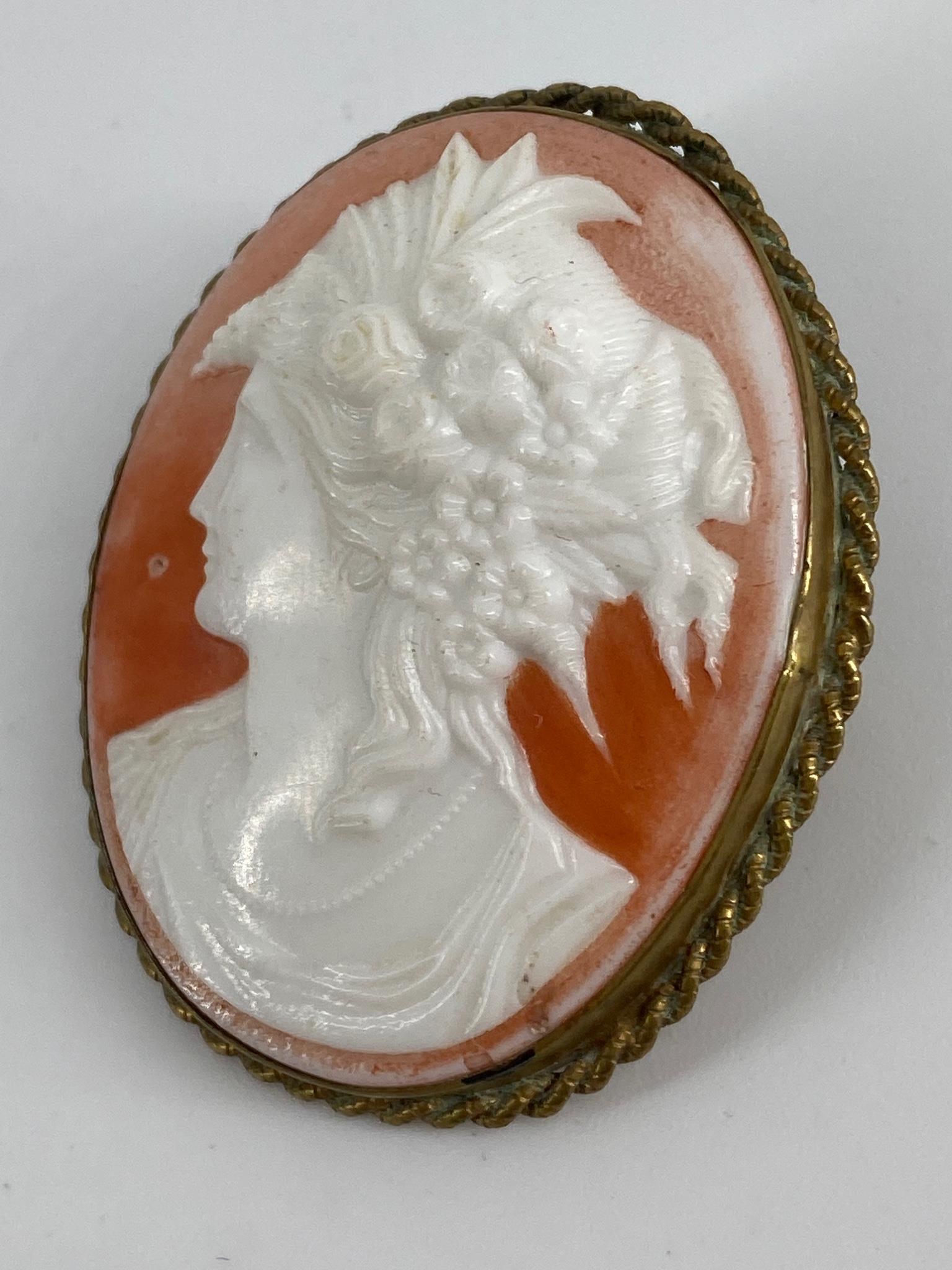 Porcelain Cameo Pin (1 of 4)