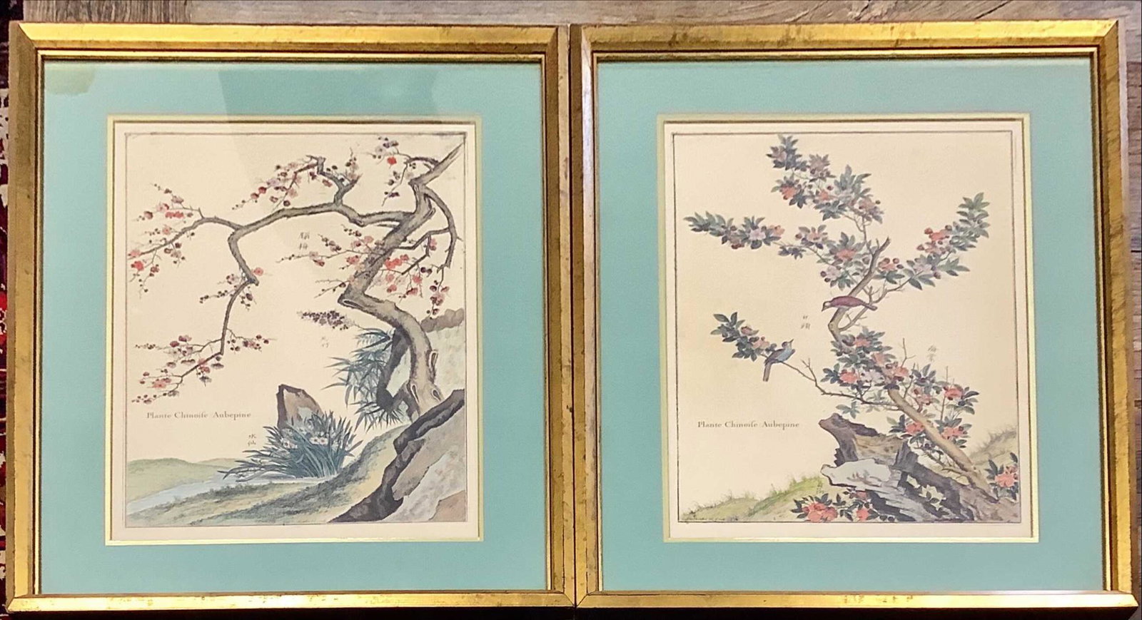 Pair Louis de Chastillon 18thc (?) French hand colored prints of Chinese plants. Each measures 19" x (1 of 3)