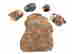 item-134167023=2