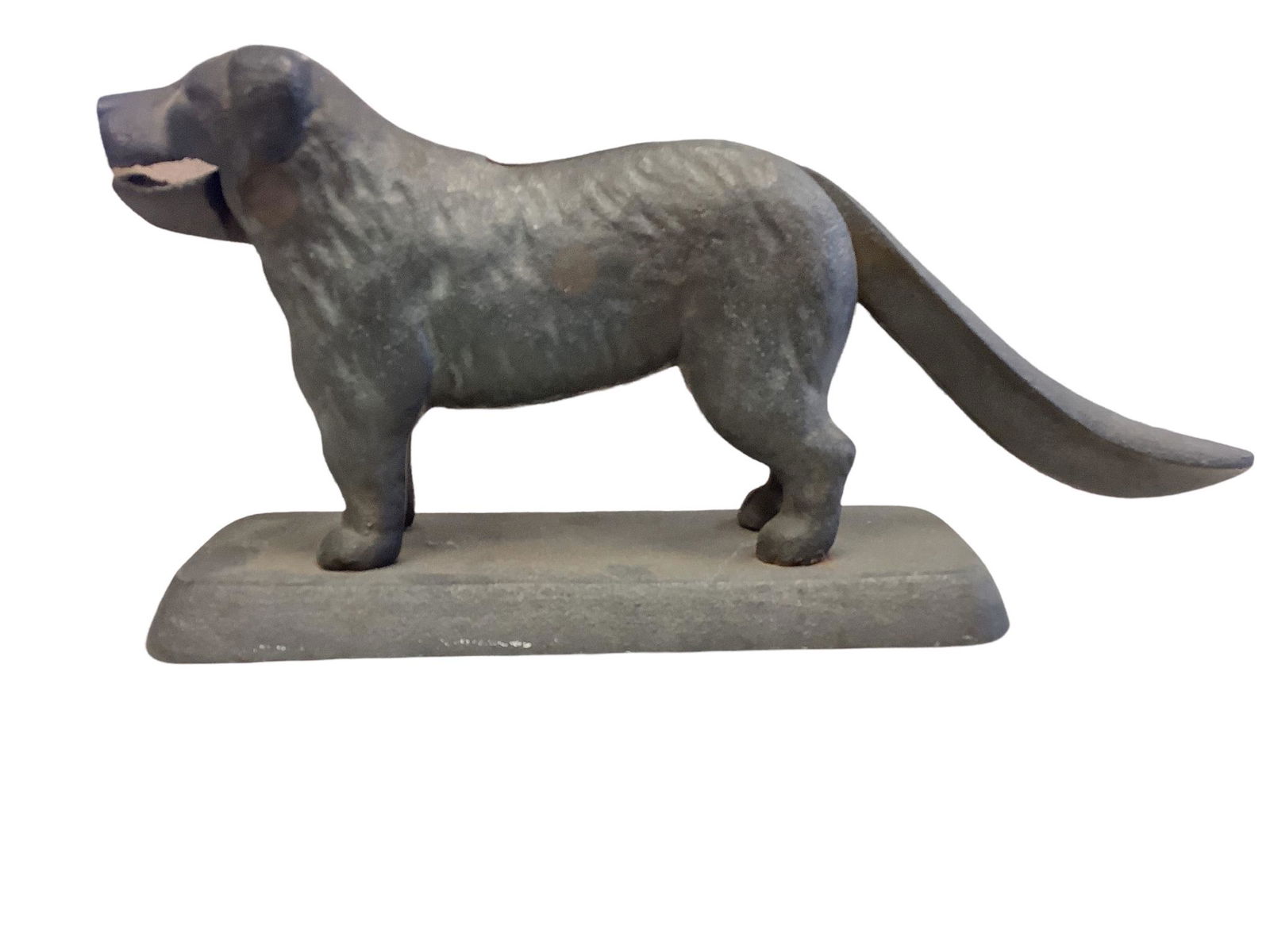 Antique cast iron dog shaped nutcracker measuring 12” long. (1 of 1)
