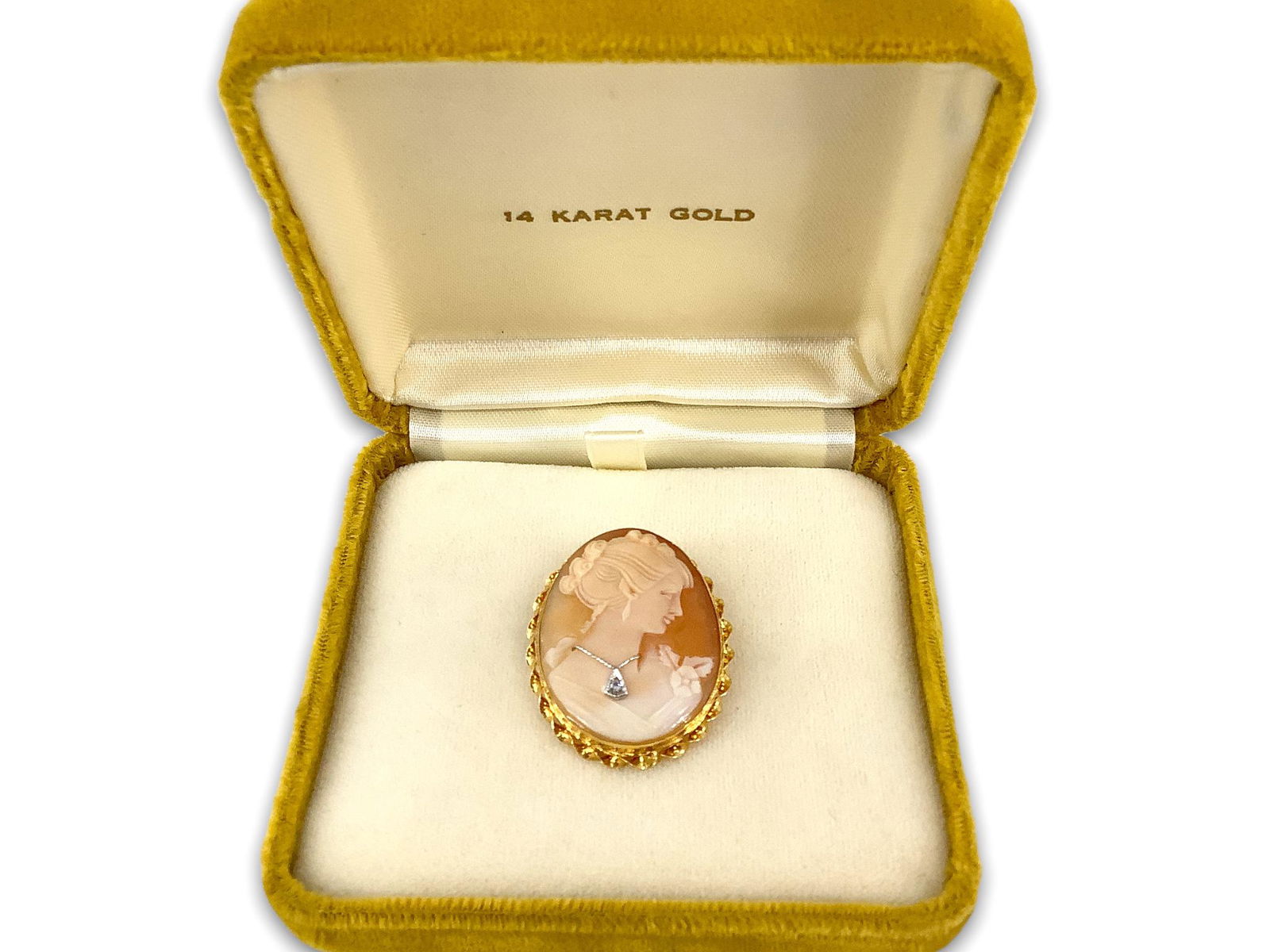 Shell Cameo Pin/Pendant with 14kt Gold Setting - In Yellow Box (1 of 3)