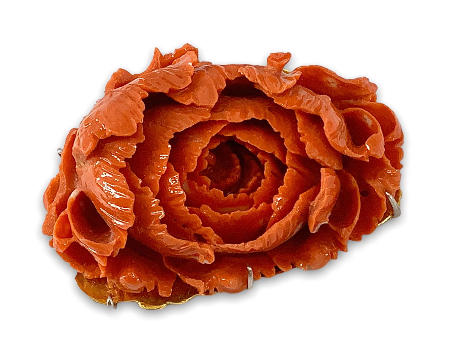 A Breathtaking Hand Carved Coral Pin With a 14kt Gold Backing (1 of 4)