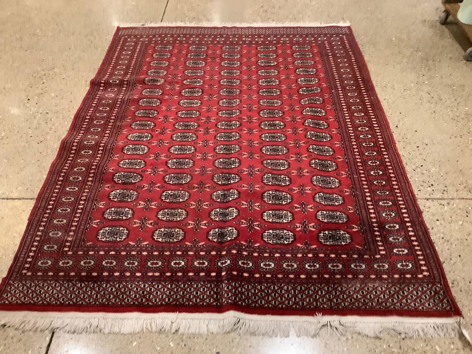 Oriental Rug - Pakistani Bokara Turkoman (1 of 3)