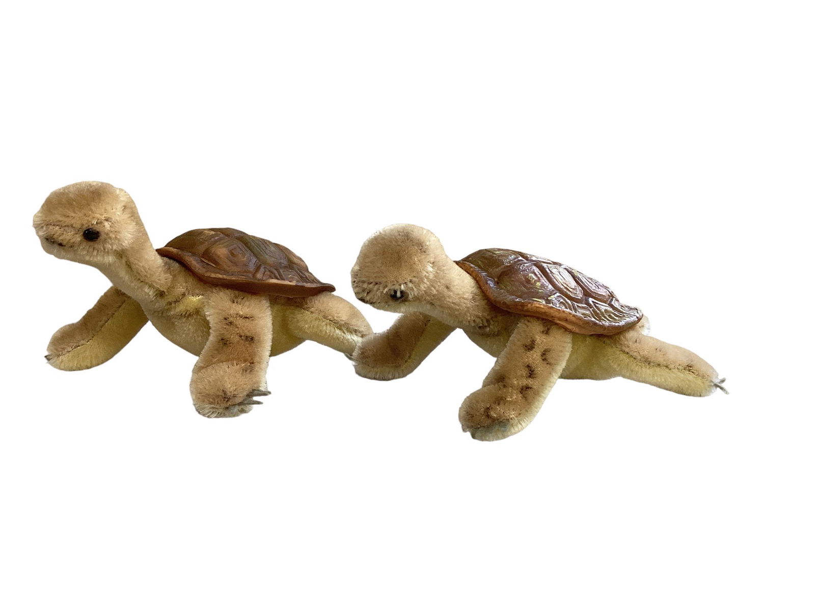 (2) Slo Turtles, Probably Steiff (1 of 3)