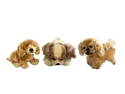 (3) Small Stuffed Dogs, 1 Steiff