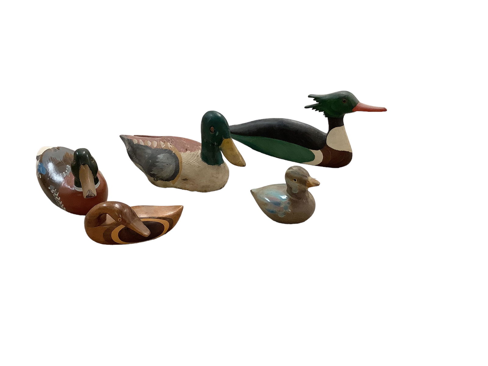 Lot of Ducks (1 of 2)