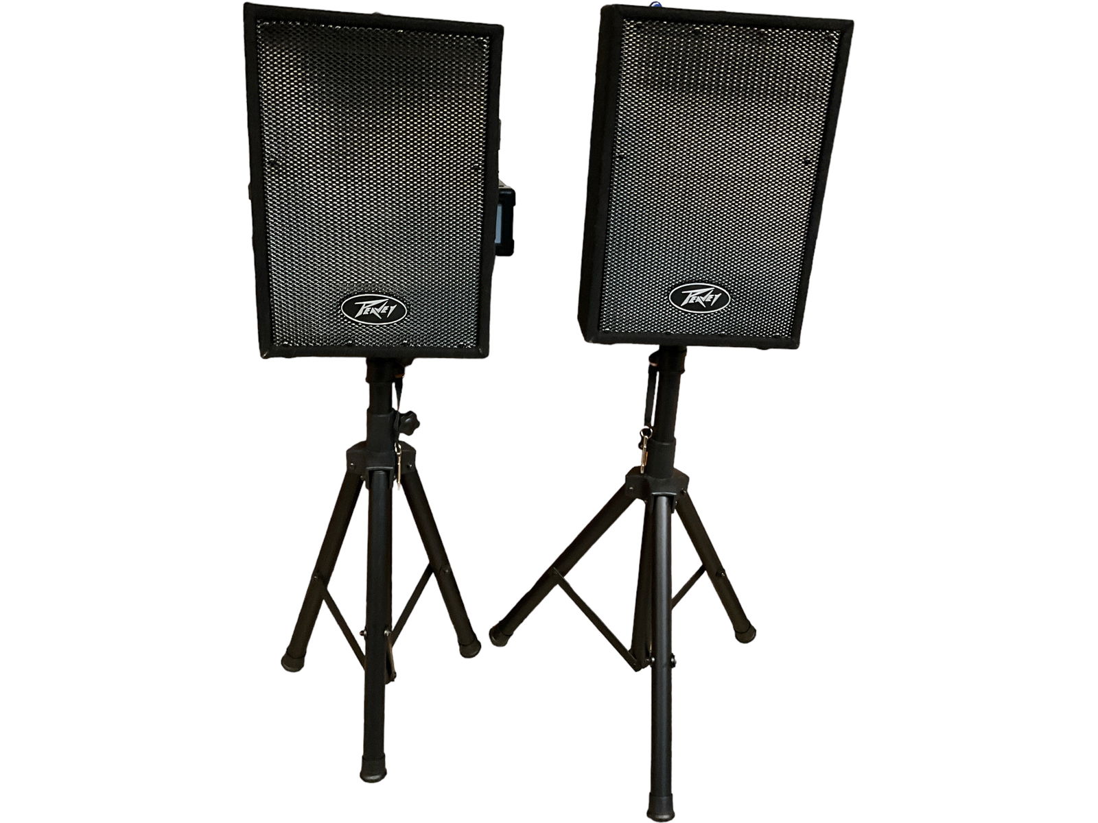 ìPeavey PVi10 Two-Way Speakersî with Microphones, Cables and Stands (1 of 7)