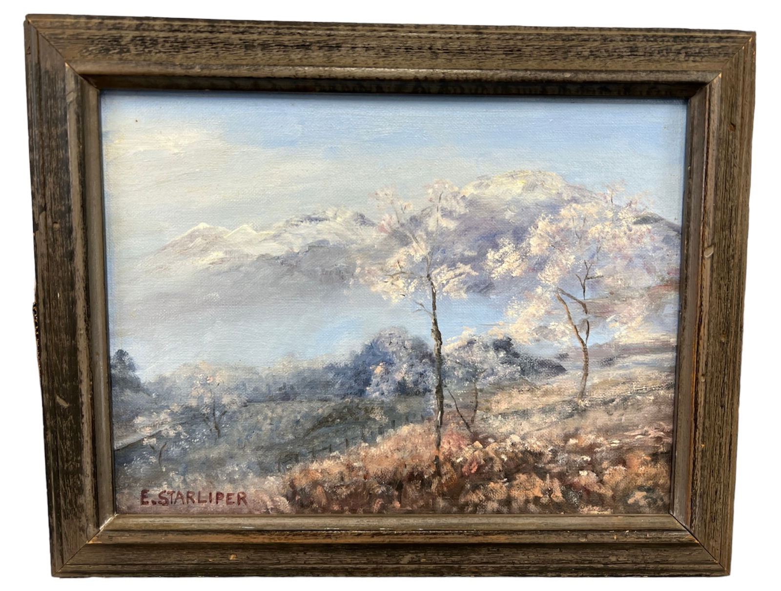 Scenic Mountains, Oil on Board, Signed E. Starliper (1 of 1)