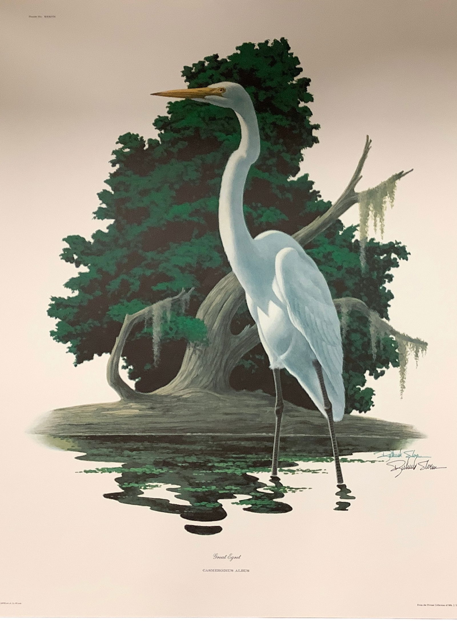 Vintage Bird and Animal Prints: Vintage Bird and Animal Prints(9) variety prints by various artists, including Richard Sloan, Glenn Robertson, and Harry Yantis, approximately 28 1/2"x22".