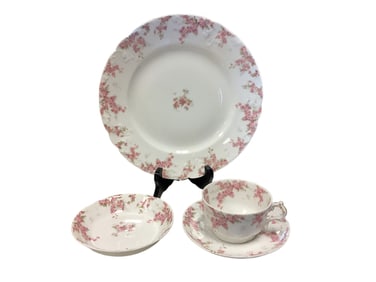 Haviland Limoges Dishes