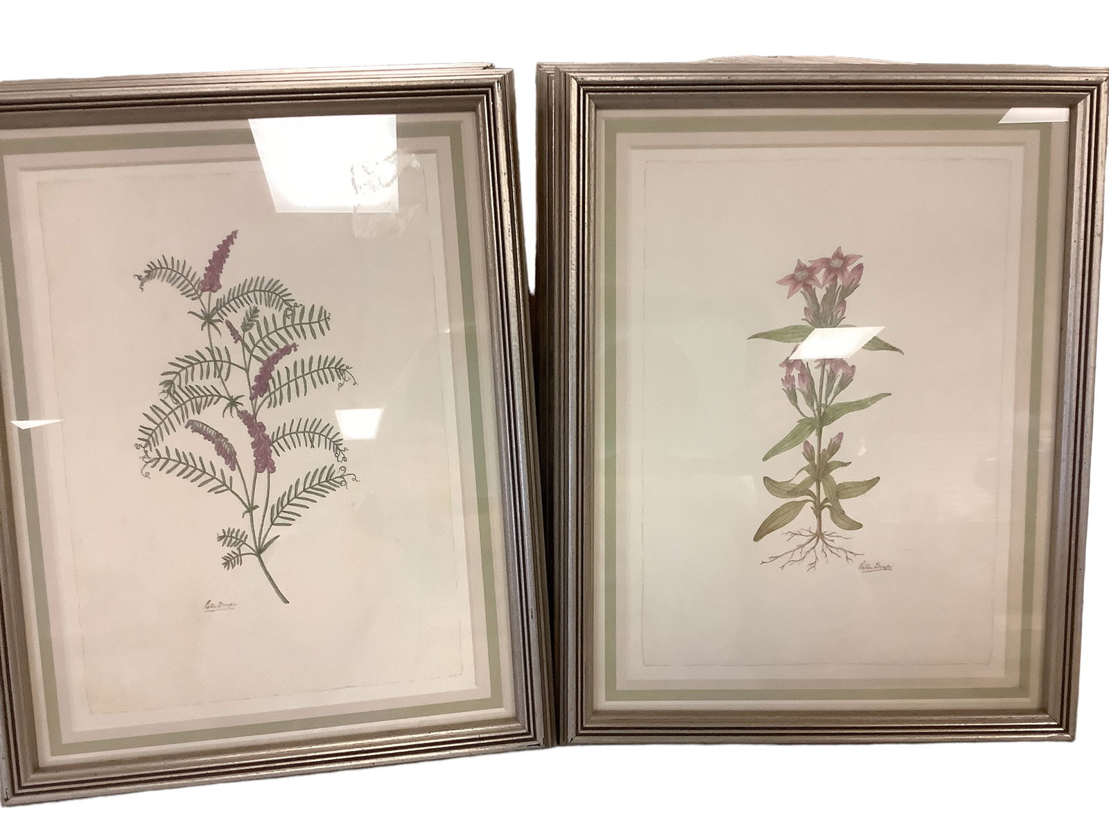 Botanical Framed Prints (12) Total size is approximately 14" x 11" (1 of 5)