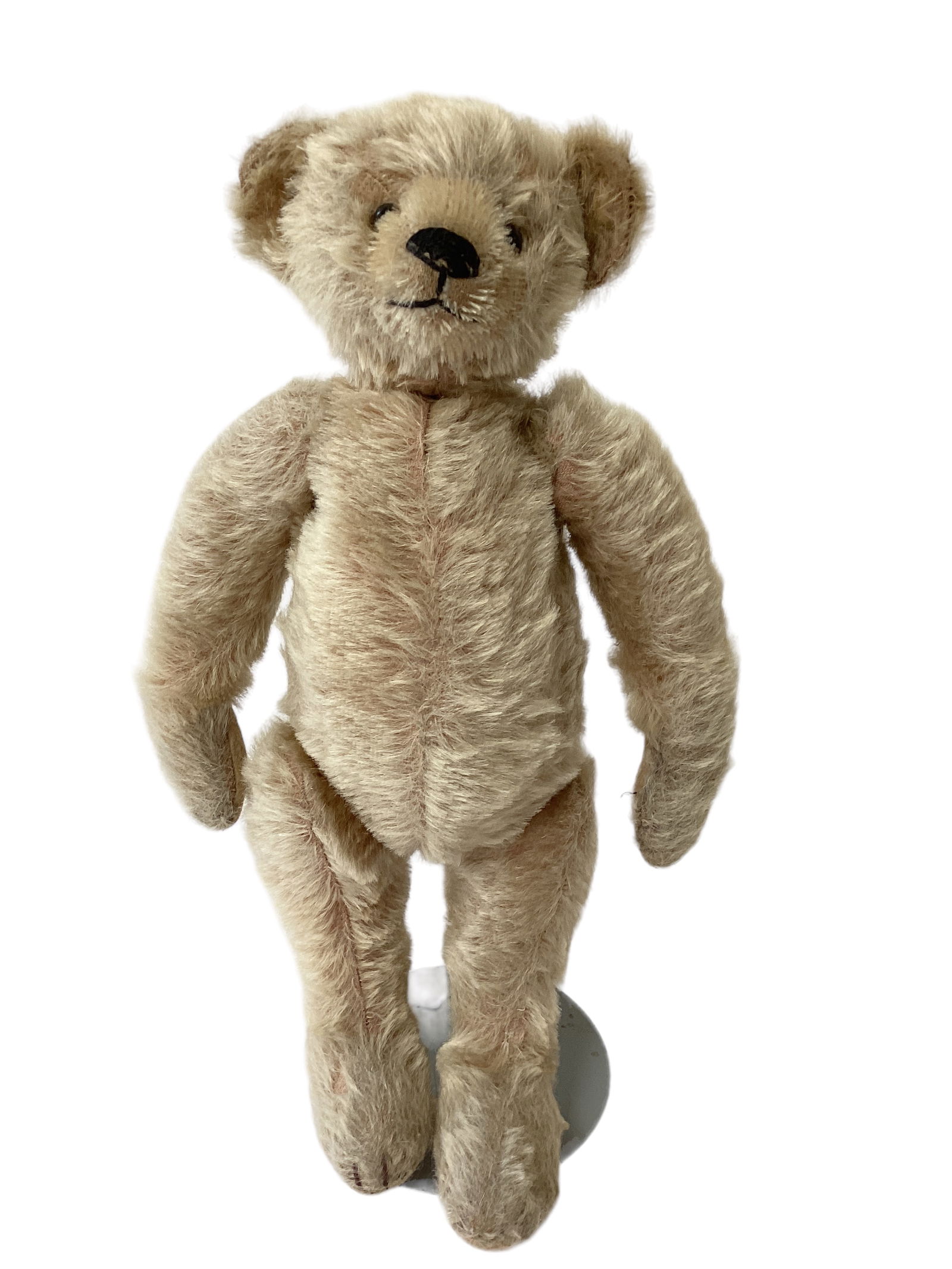 Early Mohair Teddy Bear (1 of 6)