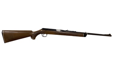Daisy Heddon 22 Cal. VL BB Rifle