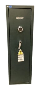 Sentry Gun Safe with Combination