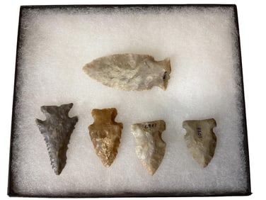 5 Pinetree Kentucky Points Length from 1 1/4" to 2 1/4"