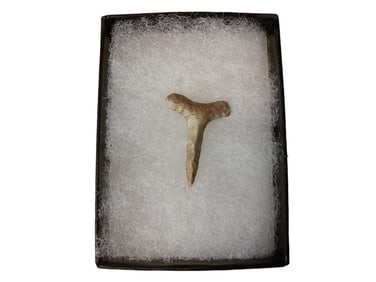 Flint Drill 1 1/8" long