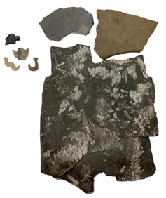 American Indian Artifacts