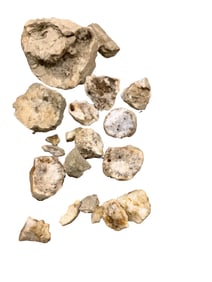 Geode Pieces found at Lake Cumberland, KY