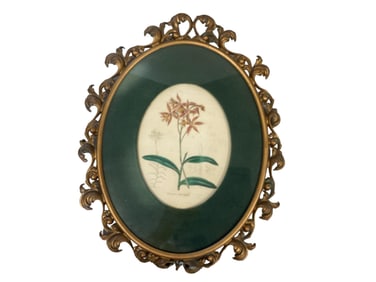 Botanical Print in Vintage Metal Oval Frame