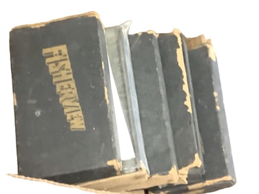 Fisherview Slides (5)