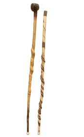 (2) Walking Sticks