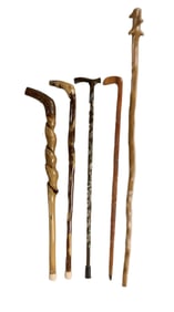 Walking Stick and Canes