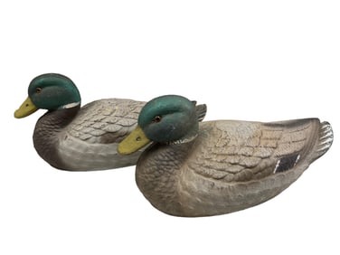 (2) Decoy Ducks
