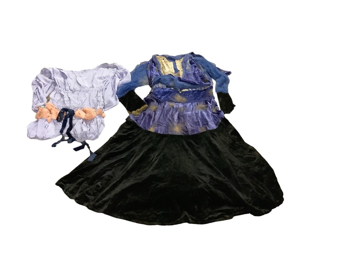Vintage Purple and Black Velvet Dress and Lilac Balloon Style Blouse: Vintage Purple and Black Velvet Dress and Lilac Balloon Style Blouse Mystical style full length dress with weighted hemline underskirt and embroidered sunbursts. Long mesh sleeves with velvet cuffs. W