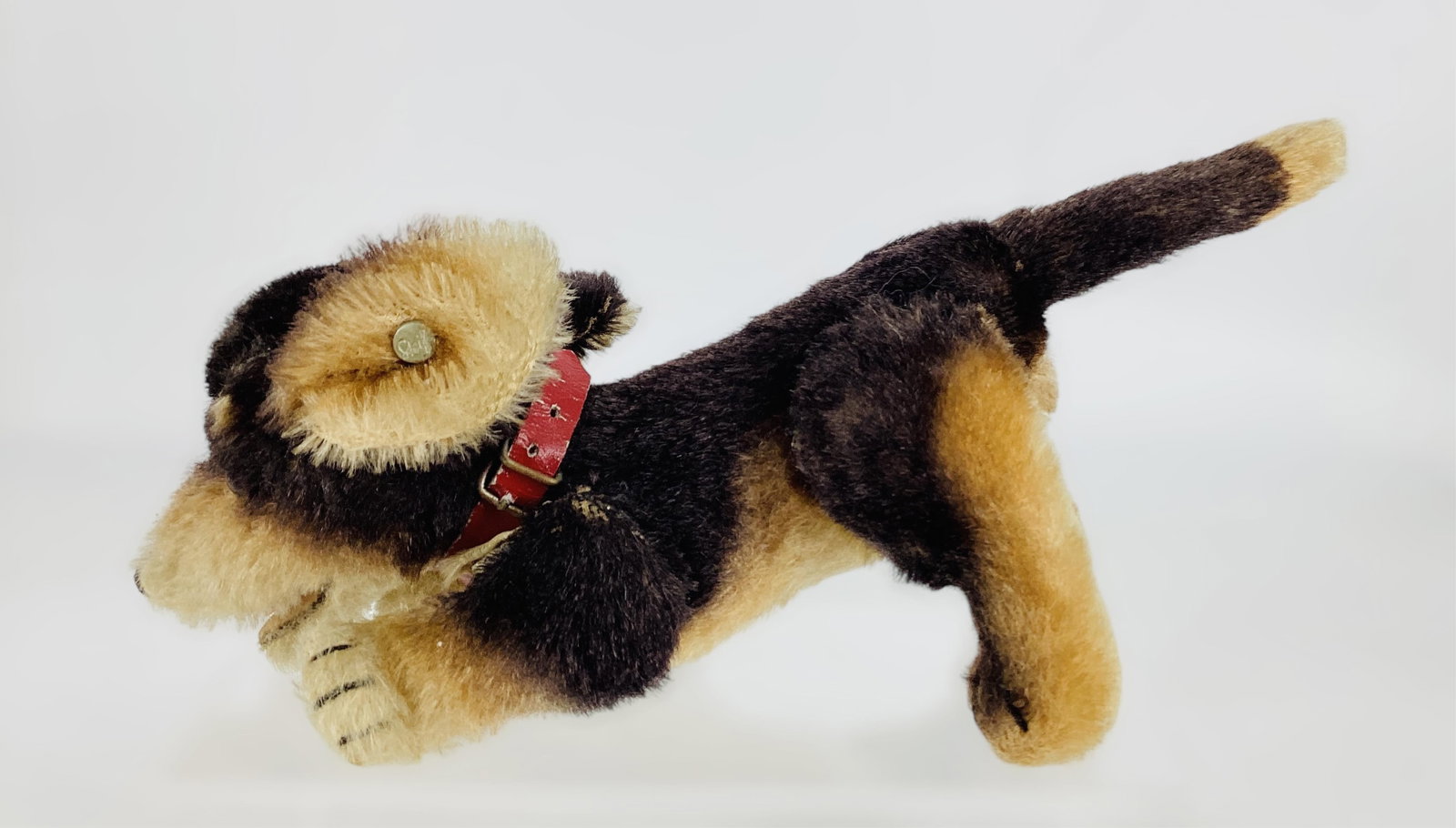Steiff "Beppo" Dog: Steiff "Beppo" Dog 5-1/2" tall, 11" long. Mohair, movable joints & head, stitched nose & claws. Open mouth with felt interior & tongue, brown & black eyes. Button in ear, tag on left leg says: Made in