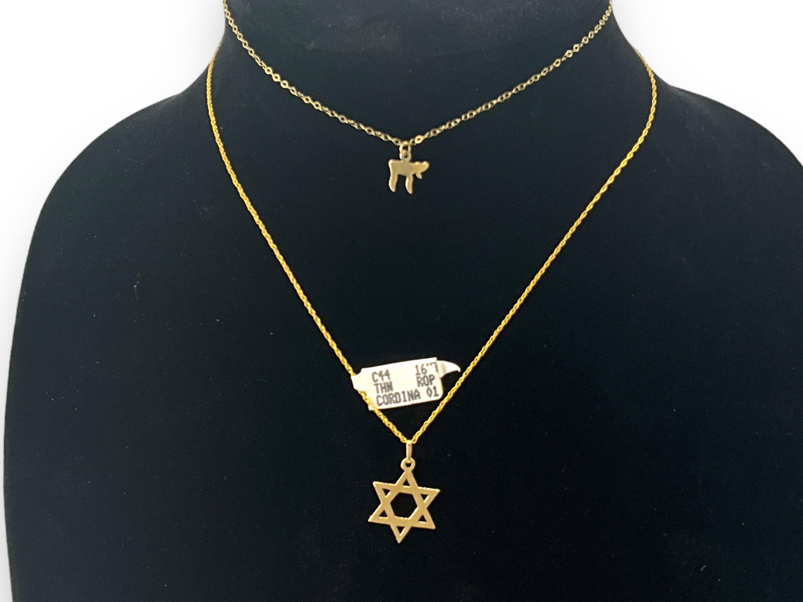 Two 14kt Yellow Gold Chains with 14kt Gold Pendants (1 of 6)