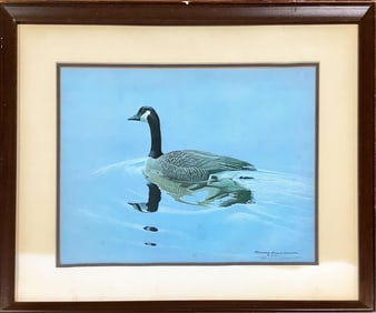 Signed Picture of Canadian Goose Image measures 17" x 13.25"; frame measures 25" x 21".