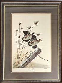 Signed and Numbered Print of Bobwhite Quail Print measures 15" x 21"; frame measures 25.25" x