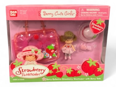 2002 Strawberry Shortcake Berry Cute Girls "Berry Ballerina Strawberry Shortcake w/ Berry Tote" by