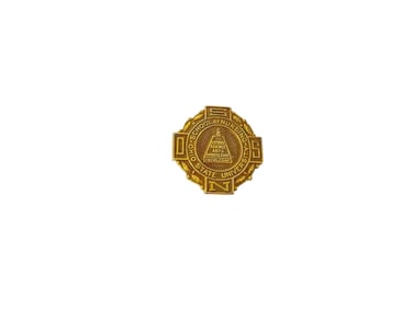 Gold Nursing Pin from The Ohio State University