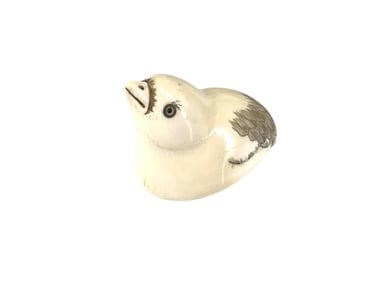 Little Netsuke Chick Carved from Ivory **Please See Ivory Selling Parameters Below**